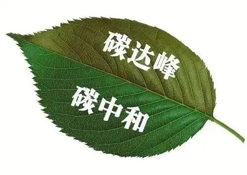 9部门重磅发文！事关碳达峰碳中和，明确这些目标和任务