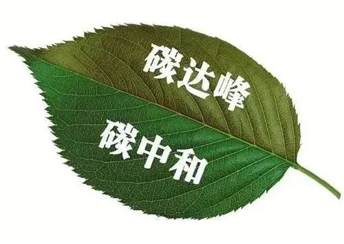 天津市碳达峰实施方案