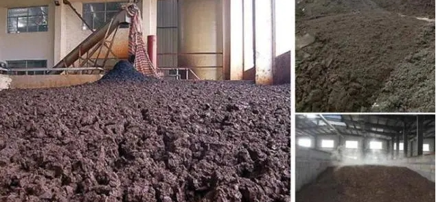 截图20230629131708